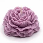 Violett / Lavendel
